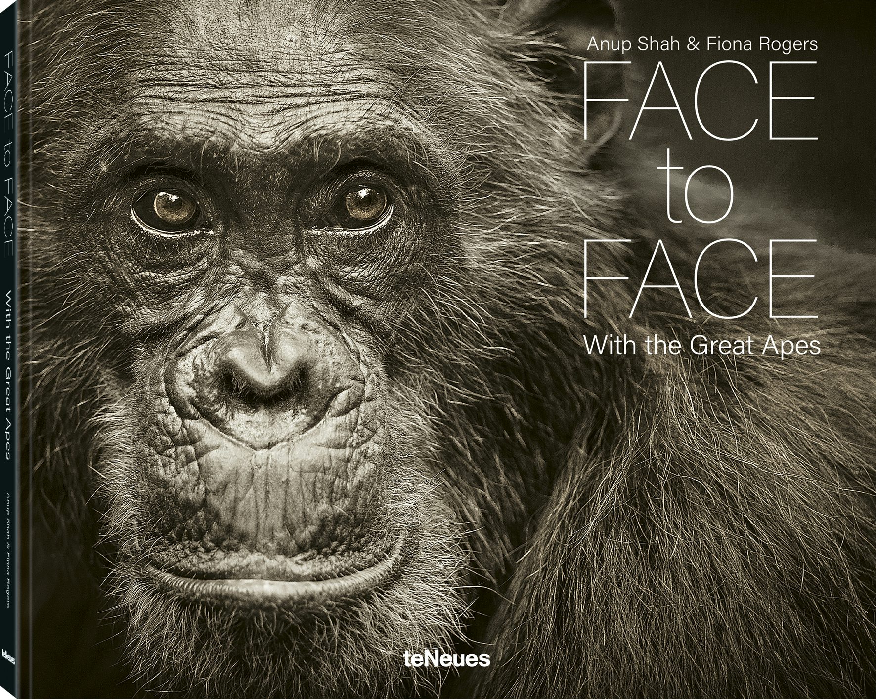 Book cover image for Face to Face ISBN: 9783961714926